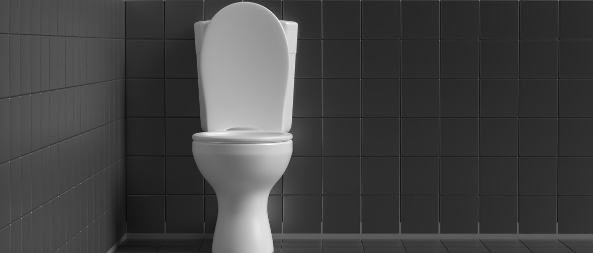 toilet-seat-exporters-in-india